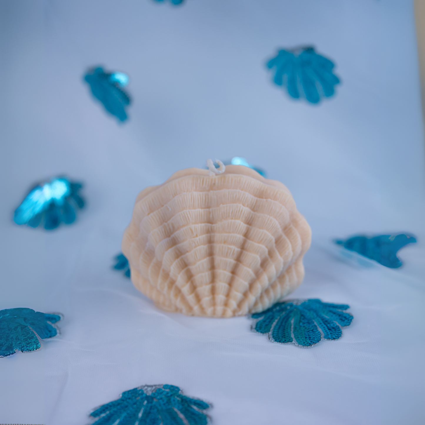 Seashell Candle