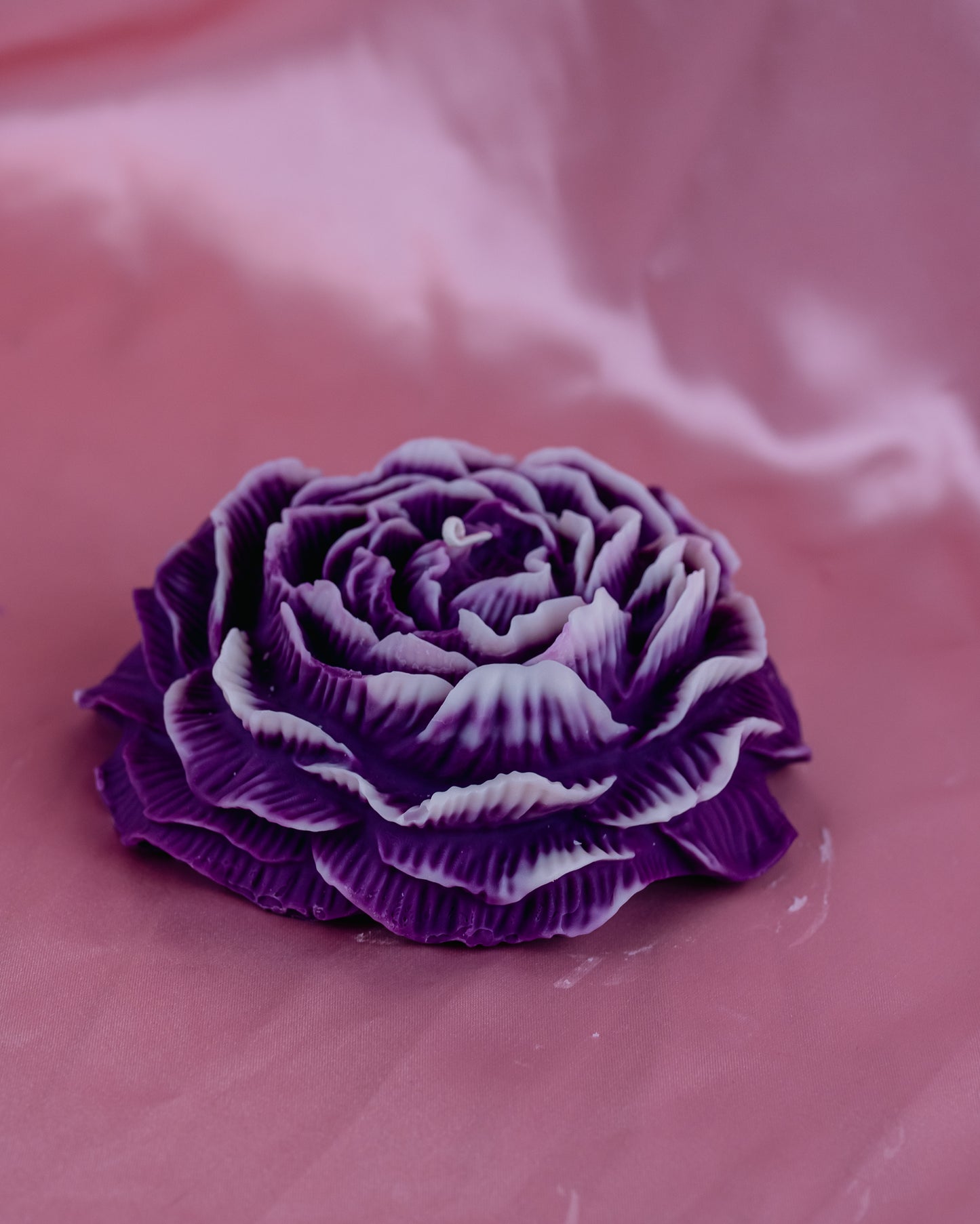 Giant Flower