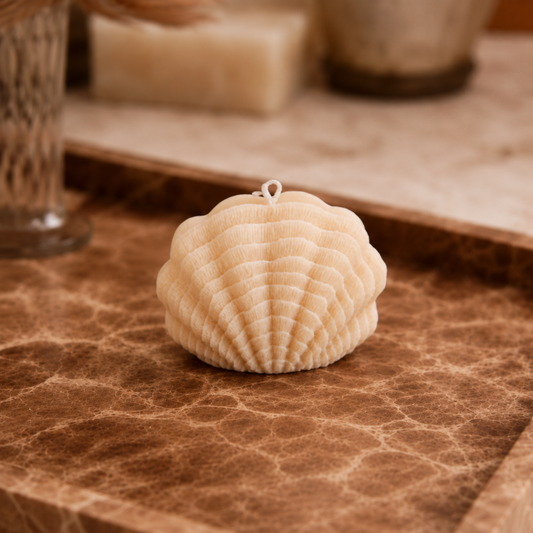 Seashell Candle