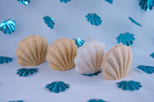 Seashell Candle